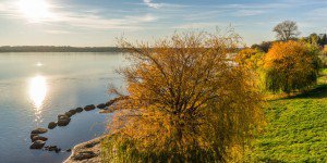 Markkleeberger See Markkleeberg