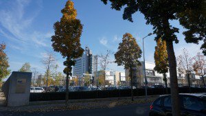 LE APIS Immobilien Immobilienmakler für Taucha und Leipzig