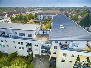 Taucha Graßdorfer Wäldchen