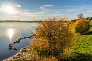 Markkleeberger See – Markkleeberg, Sachsen, See