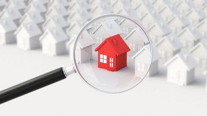 LE APIS Immobilien Immobilienmakler für Taucha und Leipzig
