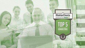 Top 5 in Domainstärke auf Maklercharts.de