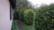 Gartenbereich Bild 4 +++EIN WOHLFHLPARADIES IM BELIEBTEN TAUCHA - ABSOLUTE RUHE AUF EIGENEM GRUND U.BODEN+++