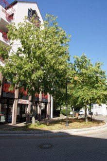 Aussen 2 +++ETW WOHNEN AM MHLENHOF INKL.BALKON, ABSTELLRAUM UND BAD MIT WANNE++++