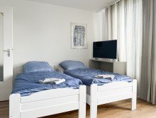 Wohnzimmer MBLIERTE WOHNUNG DSSELDORF MESSE / FLUGHAFEN, DSSELDORF LOHAUSEN INKL. BALKON U. WLAN