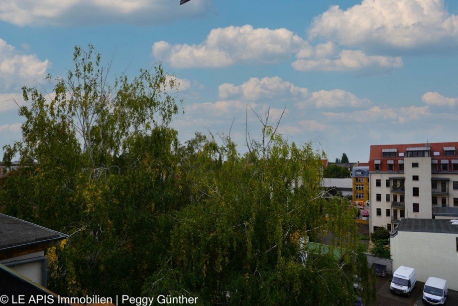 Ausblick Dachgeschosswohnung Leipzig