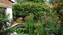 Gartenanlage +++NAHE DER SEENLANDSCHAFT IN GR�NER NATUR - HIER FINDET DIE GANZE FAMILIE IHR ZUHAUSE+++