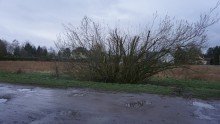 Zufahrt / Anfahrt zum Haus +++EIN WOHLF�HLPARADIES IM BELIEBTEN TAUCHA - ABSOLUTE RUHE AUF EIGENEM GRUND U.BODEN+++