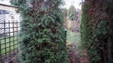 Gartenbereich Bild 5 +++EIN WOHLF�HLPARADIES IM BELIEBTEN TAUCHA - ABSOLUTE RUHE AUF EIGENEM GRUND U.BODEN+++