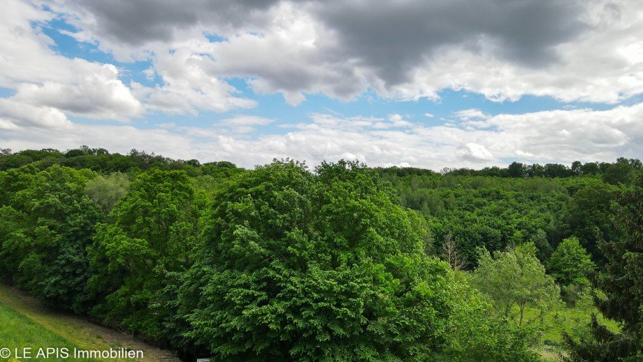 Umfeld Einfamilienhaus Ro�wein / Gleisberg