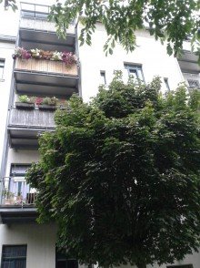 Hofseitige Ansicht +++S��E 2-RWG MIT ABSTELLRAUM IM BEGEHRTEN STADTTEIL LEIPZIG-SCHLEU�IG+++