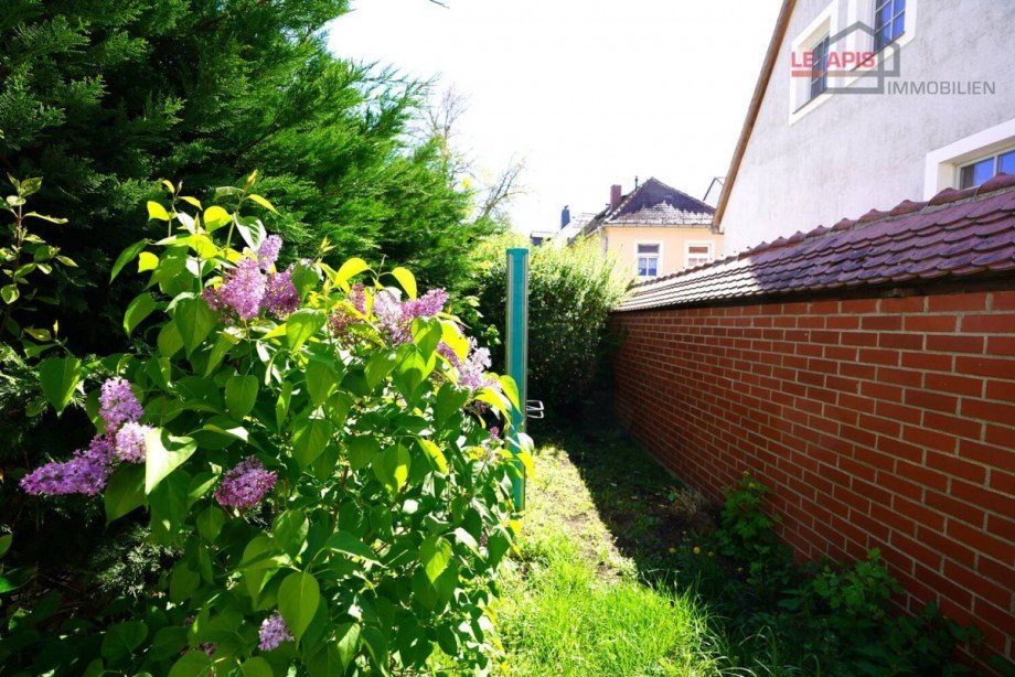 Gartenbereich Einfamilienhaus Grimma