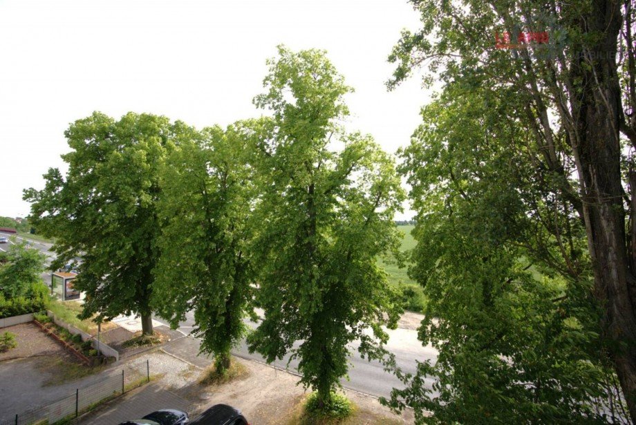 Aussicht Umgebung Etagenwohnung Leipzig