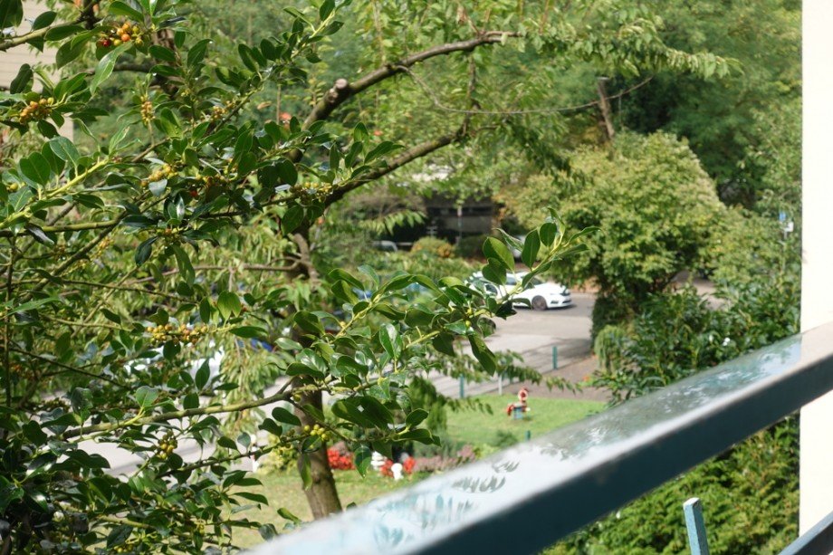 Blick Balkon Schlafzimmer I Etagenwohnung Hilden / Kalstert