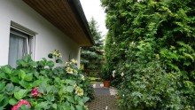 Eingangsbereich +++NAHE DER SEENLANDSCHAFT IN GR�NER NATUR - HIER FINDET DIE GANZE FAMILIE IHR ZUHAUSE+++