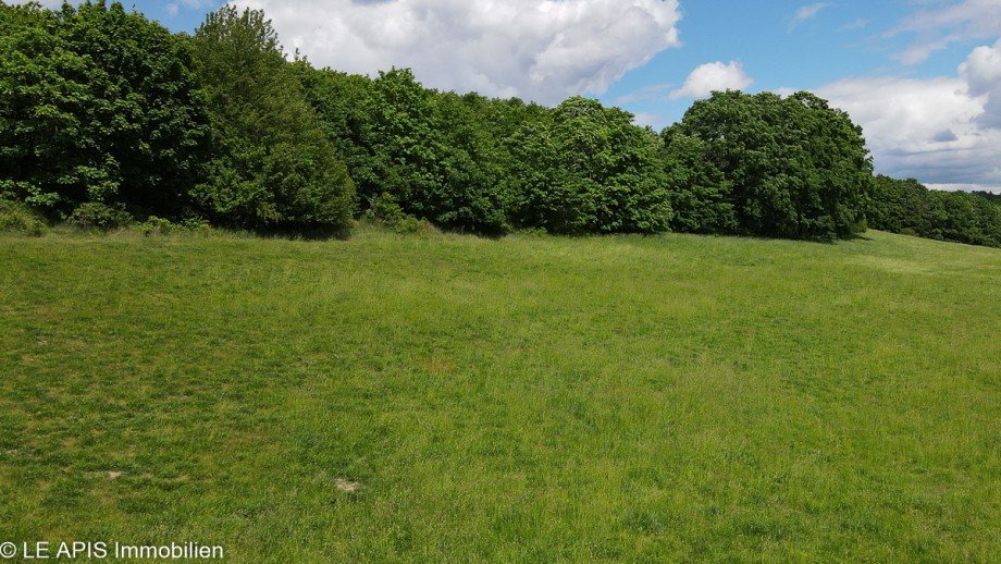 Umfeld Einfamilienhaus Ro�wein / Gleisberg
