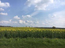 Umgebung +++ENTSPANNT WOHNEN IM SPECKGRTEL VON LEIPZIG - SCHICKE 2.5-RWG MIT EBK UND GROEM SDBALKON+++