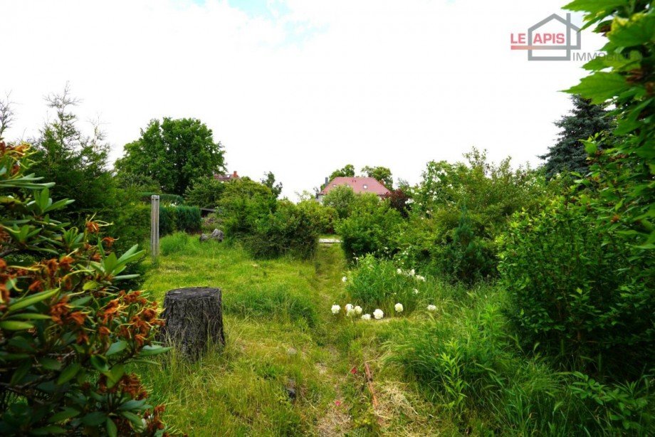 Gartenbereich hinten Doppelhaushlfte Leipzig