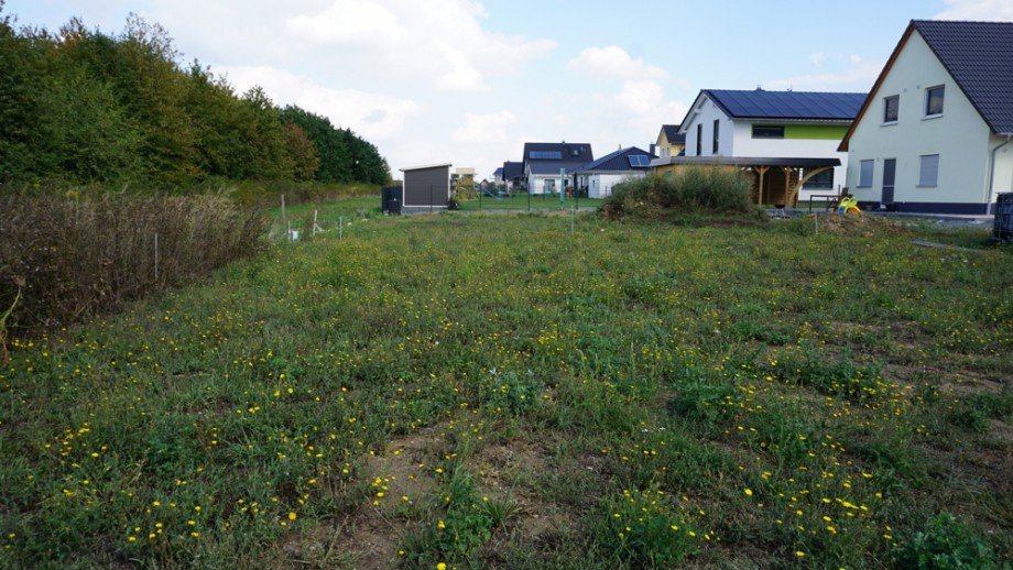 Grundst�ck Einfamilienhaus Kitzscher / Dittmannsdorf