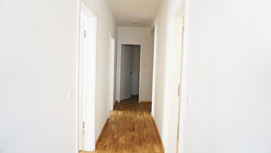 Diele / Flur Etagenwohnung Leipzig / Leipzig Sdvorstadt