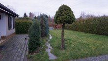 Gartenbereich Bild 7 +++EIN WOHLF�HLPARADIES IM BELIEBTEN TAUCHA - ABSOLUTE RUHE AUF EIGENEM GRUND U.BODEN+++