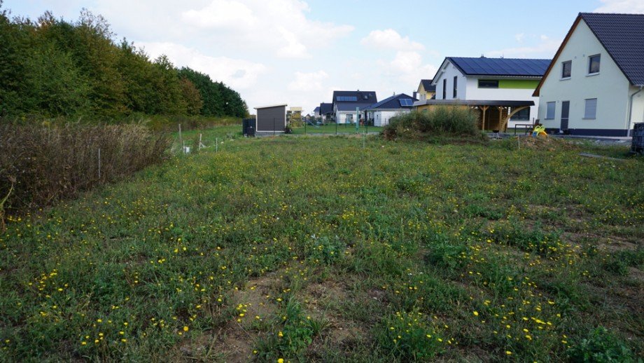 Grundstck Einfamilienhaus Kitzscher / Dittmannsdorf