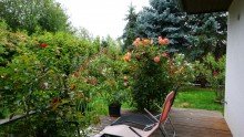 Freisitz / Terrasse +++NAHE DER SEENLANDSCHAFT IN GR�NER NATUR - HIER FINDET DIE GANZE FAMILIE IHR ZUHAUSE+++