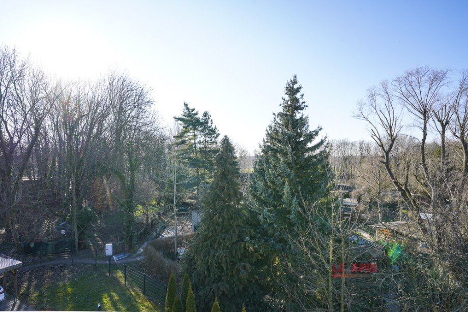 Ausblick Dachgeschosswohnung Markkleeberg