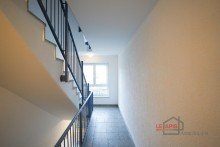 Treppenhaus TOLLE, FRISCH RENOVIERTE 2-RWG M. EBK, AR U. BALKON IN BELIEBTER, GRNER LAGE V. LEIPZIG-LINDENTHAL