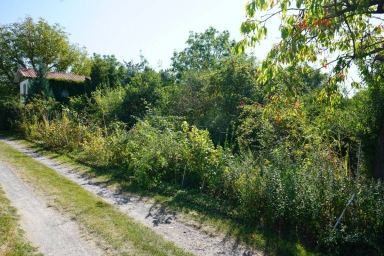 Bungalow inkl. Grundstck Seitenansicht Taucha Sondernutzungs-Grundstck +++EINE PERLE IN IDYLLISCHER LAGE VON Pnitz - WOCHENENDGRUNDSTCK M. BUNGALOW u. NEBENGEBUDE+++