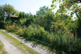 Hauptbild +++EINE PERLE IN IDYLLISCHER LAGE VON Pnitz - WOCHENENDGRUNDSTCK M. BUNGALOW u. NEBENGEBUDE+++