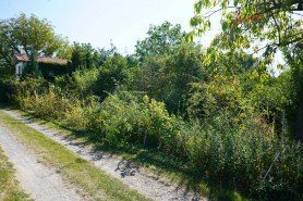 Hauptbild +++EINE PERLE IN IDYLLISCHER LAGE VON Pnitz - WOCHENENDGRUNDSTCK M. BUNGALOW u. NEBENGEBUDE+++