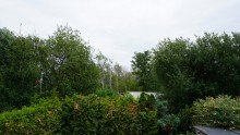 Aussenbereich +++NAHE DER SEENLANDSCHAFT IN GR�NER NATUR - HIER FINDET DIE GANZE FAMILIE IHR ZUHAUSE+++