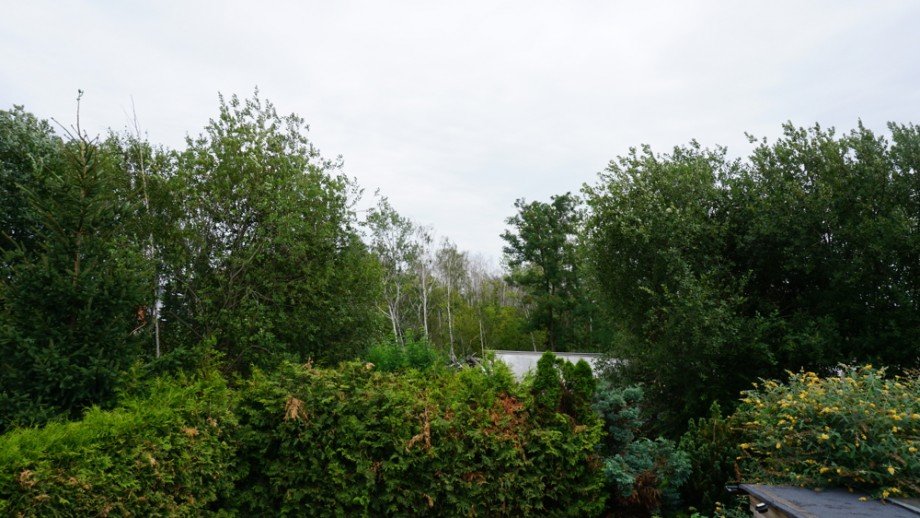 Aussenbereich Einfamilienhaus Leipzig