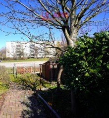 Gartenbereich hinten ENTZCKENDES REIHENENDHAUS M. POTENZIAL IN RUHIGER U. BELIEBTER LAGE V. KITZSCHER