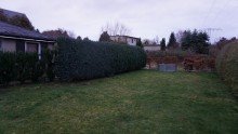Gartenbereich Bild 6 +++EIN WOHLFHLPARADIES IM BELIEBTEN TAUCHA - ABSOLUTE RUHE AUF EIGENEM GRUND U.BODEN+++