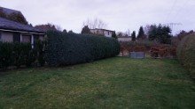 Gartenbereich Bild 6 +++EIN WOHLF�HLPARADIES IM BELIEBTEN TAUCHA - ABSOLUTE RUHE AUF EIGENEM GRUND U.BODEN+++