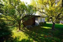 Garten +++FAMILIEN AUFGEPASST! EINE PERLE IN IDYLLISCHER LAGE VON TAUCHA -  MEHRGENERATIONSWOHNEN M�GLICH+++