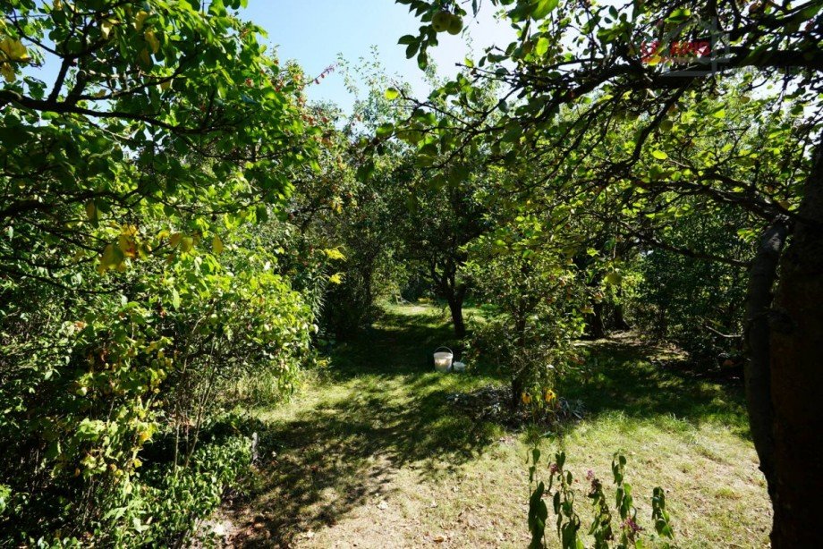 Gartenbereich Bild 2 Sondernutzungs-Grundstck Taucha