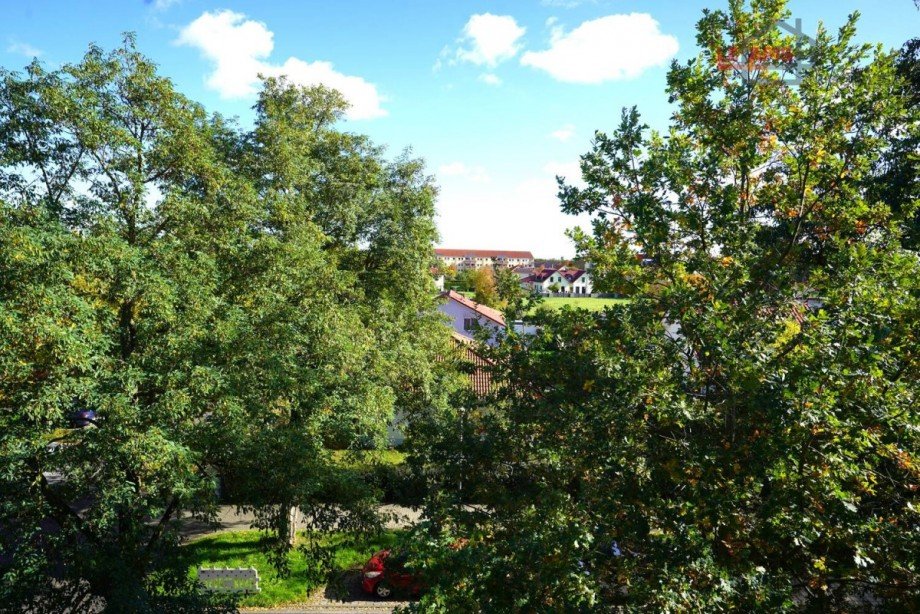 Aussicht Umgebung Dachgeschosswohnung Leipzig/ Lausen