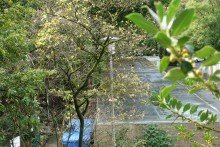 Blick Balkon Schlafzimmer II +++ZUM 01.02.2020 zu VERMIETEN+++SCH�NE 3-ZIMMER-MIETWOHNUNG IN HERRLICHER UMGEBUNG IM 1.OG+++