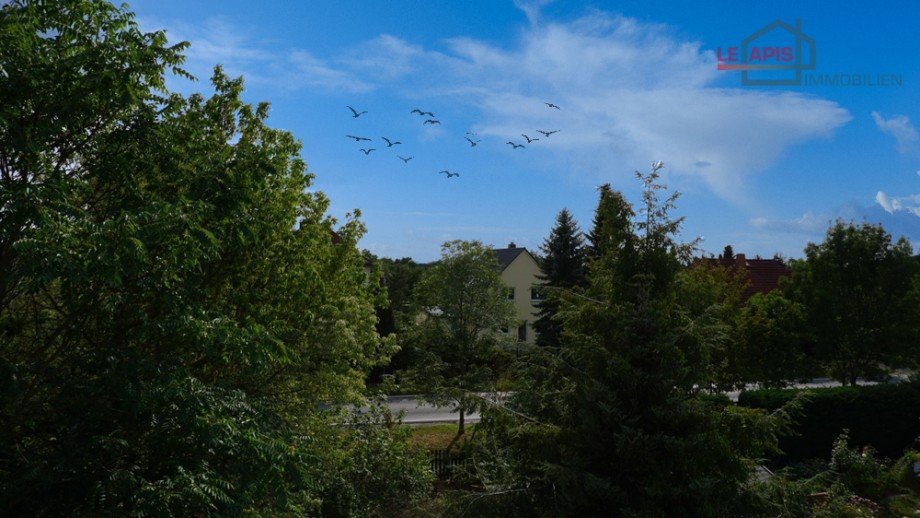 Ausblick vom Dachgeschoss Einfamilienhaus Brandis