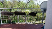 Balkonausblick +++MODERNISIERTE 2-RWG MIT BALKON IM BELIEBTEN STADTTEIL MARKKLEEBERG+++